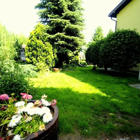 Jelonka * Jelenia Góra